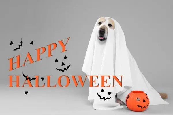 Happy Halloween from Emerald Mortgage, LLC